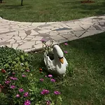 Luisa *